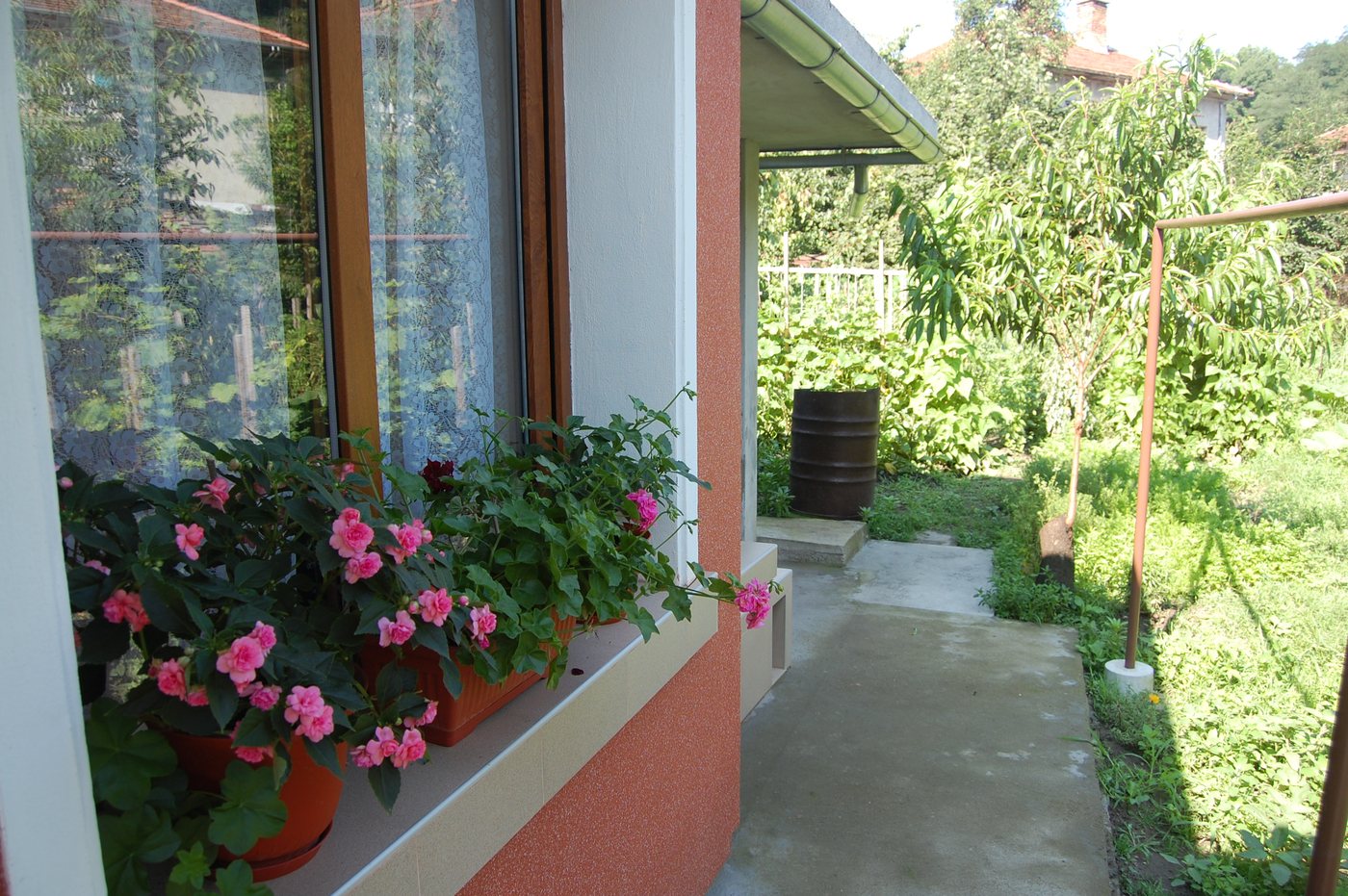 AVE Marina Guest House в Трявна